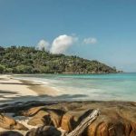 ofsor na sejs ΠΠ°ΠΊ ΠΎΡΠΊΡΡΡΡ Π±ΠΈΠ·Π½Π΅Ρ Π½Π° ΡΠ΅ΠΉΡΠ΅Π»Π°Ρ